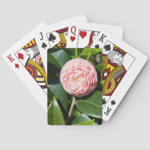 VS, Alabama, Theodore Near Mobile Pokerkaarten