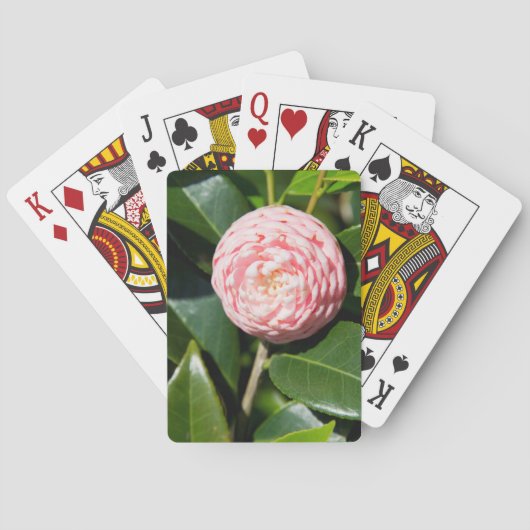 VS, Alabama, Theodore Near Mobile Pokerkaarten (Achterkant)