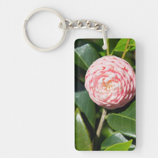 VS, Alabama, Theodore Near Mobile Sleutelhanger (Voorkant)