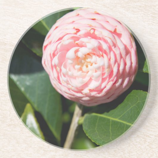 VS, Alabama, Theodore Near Mobile Zandsteen Onderzetter (Voorkant)