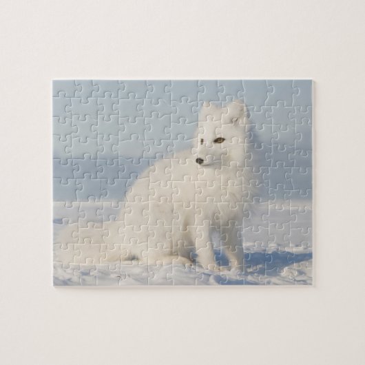 VS, Alaska, 1002 Arctische kustvlakte 5 Legpuzzel (Horizontaal)
