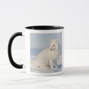 VS, Alaska, 1002 Arctische kustvlakte 5 Mok