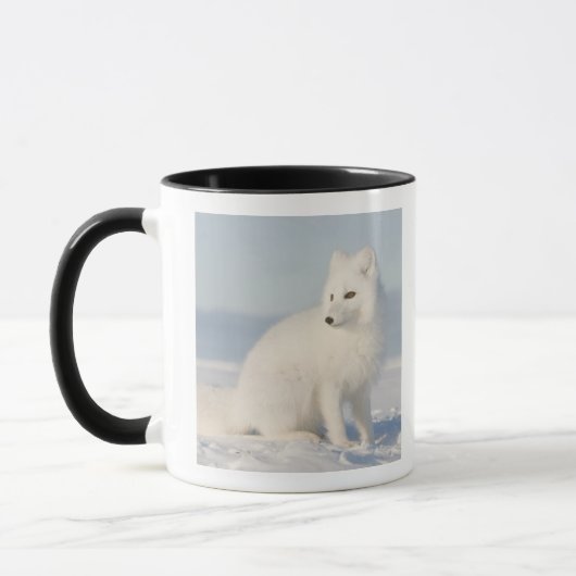 VS, Alaska, 1002 Arctische kustvlakte 5 Mok (Links)