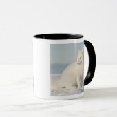 VS, Alaska, 1002 Arctische kustvlakte 5 Mok (Voorkant rechts)