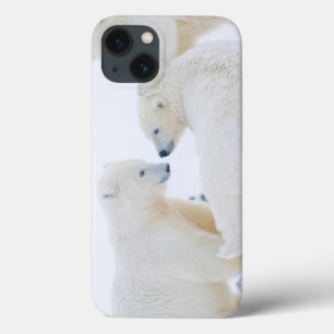 VS, Alaska, 1002 Arctische kustvlakte Case-Mate iPhone Case