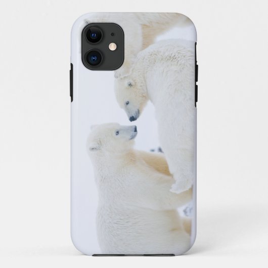 VS, Alaska, 1002 Arctische kustvlakte Case-Mate iPhone Case (Achterkant)