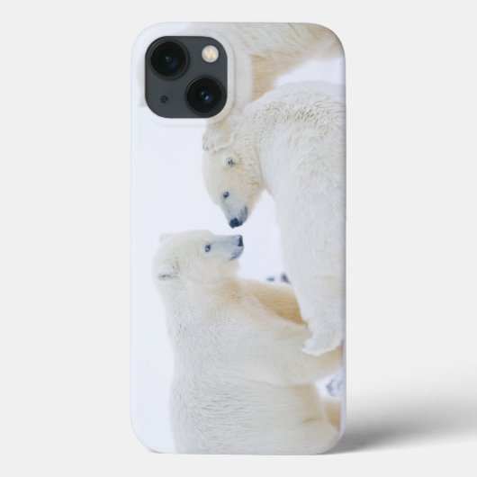 VS, Alaska, 1002 Arctische kustvlakte Case-Mate iPhone Case (Achterkant)