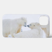 VS, Alaska, 1002 Arctische kustvlakte Case-Mate iPhone Case (Achterkant (horizontaal))
