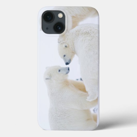 VS, Alaska, 1002 Arctische kustvlakte Case-Mate iPhone Case (Achterkant)