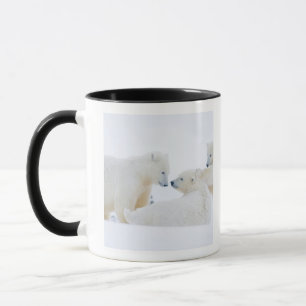 VS, Alaska, 1002 Arctische kustvlakte Mok