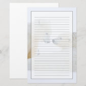 VS, Alaska, 1002 Kustvlakte van de Arctische Briefpapier (Voorkant / Achterkant)