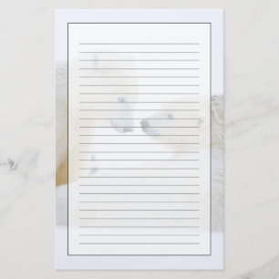 VS, Alaska, 1002 Kustvlakte van de Arctische Briefpapier
