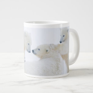 VS, Alaska, 1002 Kustvlakte van de Arctische Grote Koffiekop