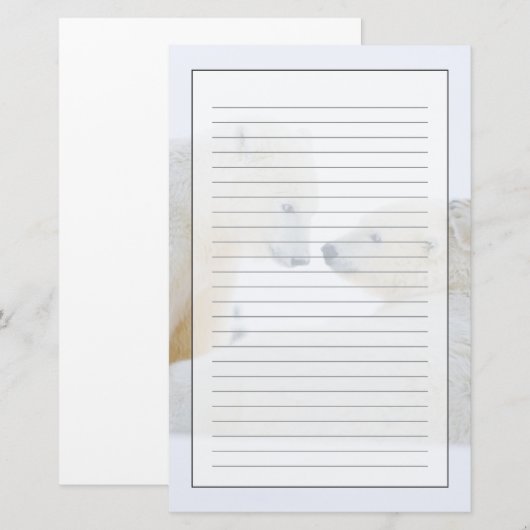 VS, Alaska, 1002 Kustvlakte van het Noordpoolgebie Briefpapier (Voorkant / Achterkant)