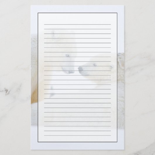 VS, Alaska, 1002 Kustvlakte van het Noordpoolgebie Briefpapier (Voorkant)