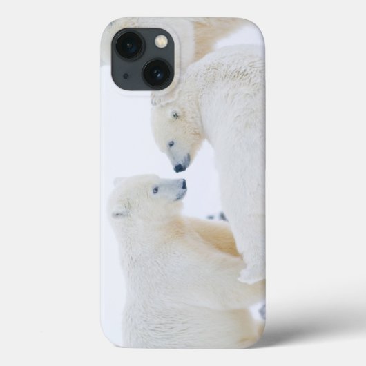 VS, Alaska, 1002 Kustvlakte van het Noordpoolgebie Case-Mate iPhone Case (Achterkant)