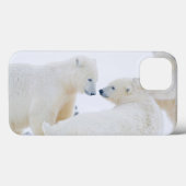 VS, Alaska, 1002 Kustvlakte van het Noordpoolgebie Case-Mate iPhone Case (Achterkant (horizontaal))