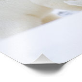 VS, Alaska, 1002 Kustvlakte van het Noordpoolgebie Foto Afdruk (Hoek)