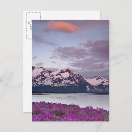 VS, Alaska, Alsek River Valley. Uitzicht Alsek Briefkaart (Voorkant / Achterkant)