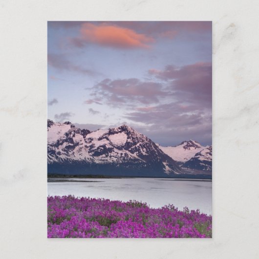 VS, Alaska, Alsek River Valley. Uitzicht Alsek Briefkaart (Voorkant)