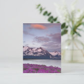 VS, Alaska, Alsek River Valley. Uitzicht Alsek Briefkaart (Staand voorkant)