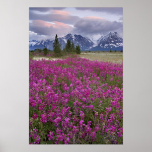 VS, Alaska, Alsek rivierdal. Uitzicht op Poster