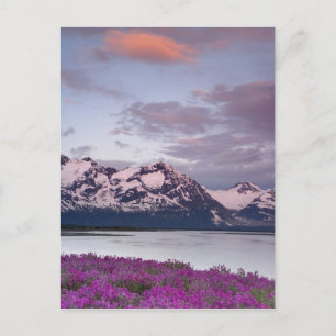 VS, Alaska, Alsek riviervallei. Uitzicht op Alsek Briefkaart