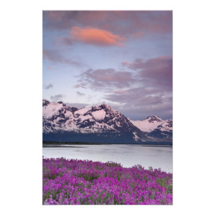 VS, Alaska, Alsek riviervallei. Uitzicht op Alsek Foto Afdruk
