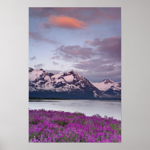 VS, Alaska, Alsek riviervallei. Uitzicht op Alsek Poster