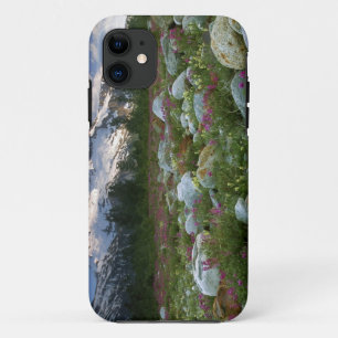 VS, Alaska, Alsek-Tatshenshini Wilderness. Gezicht Case-Mate iPhone Case