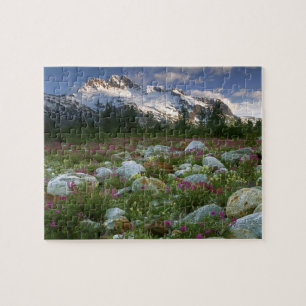 VS, Alaska, Alsek-Tatshenshini Wilderness. Gezicht Legpuzzel