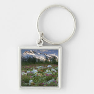VS, Alaska, Alsek-Tatshenshini Wilderness. Gezicht Sleutelhanger
