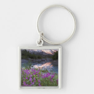 VS, Alaska, Alsek-Tatshenshini-wildernis. Sleutelhanger
