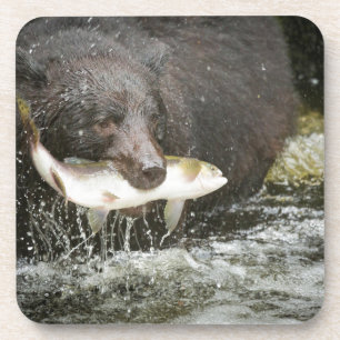 VS, Alaska, Anan Creek. Close-up van zwarte beer Drankjes Onderzetter