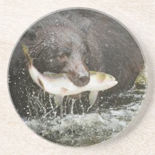 VS, Alaska, Anan Creek. Close-up van zwarte beer Zandsteen Onderzetter