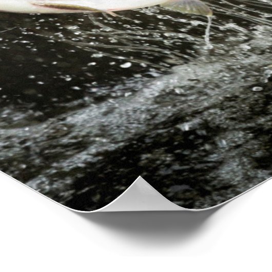 VS, Alaska, Anan Creek. Sluiting van het zwarte Be Poster (Hoek)