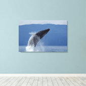 VS, Alaska, Angoon, Humpback Whale (Megaptera) Canvas Afdruk (Insitu (Houten vloer))