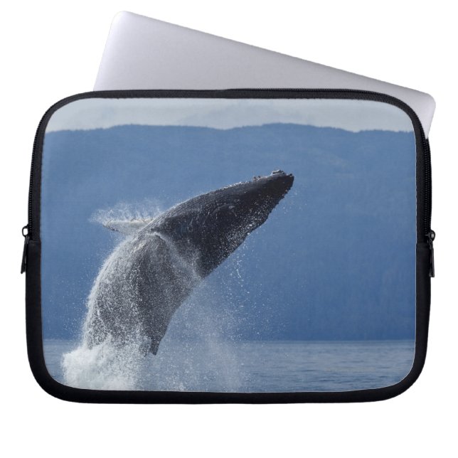 VS, Alaska, Angoon, Humpback Whale (Megaptera) Laptop Sleeve (Voorkant)