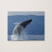 VS, Alaska, Angoon, Humpback Whale (Megaptera) Legpuzzel (Horizontaal)