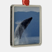 VS, Alaska, Angoon, Humpback Whale (Megaptera) Metalen Ornament (Rechts)