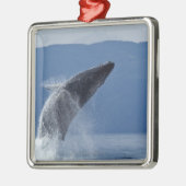VS, Alaska, Angoon, Humpback Whale (Megaptera) Metalen Ornament (Links)