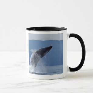 VS, Alaska, Angoon, Humpback Whale (Megaptera) Mok