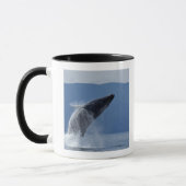 VS, Alaska, Angoon, Humpback Whale (Megaptera) Mok (Links)