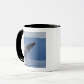 VS, Alaska, Angoon, Humpback Whale (Megaptera) Mok (Voorkant links)