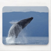 VS, Alaska, Angoon, Humpback Whale (Megaptera) Muismat (Voorkant)