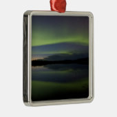 VS, Alaska, Arctic Circle, Betles. De Metalen Ornament (Rechts)