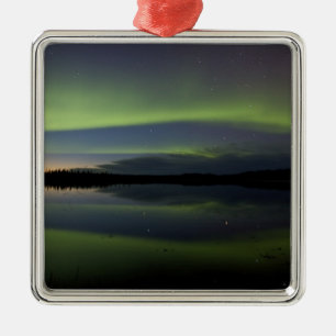 VS, Alaska, Arctic Circle, Betles. De Metalen Ornament