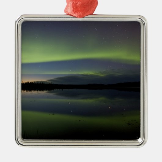 VS, Alaska, Arctic Circle, Betles. De Metalen Ornament (Voorkant)