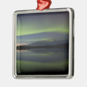 VS, Alaska, Arctic Circle, Betles. De Metalen Ornament (Links)