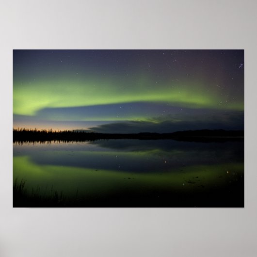 VS, Alaska, Arctic Circle, Betles. De Poster (Voorkant)